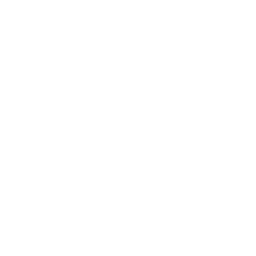 ce logo Latham